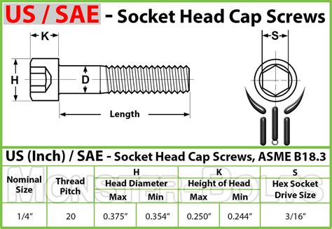 1/4-20 Socket Head Cap Screws │ Stainless Steel Hex / Allen Key Bolts ...