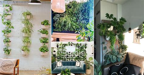 20 Green Ideas for Modern Wall Decoration | Balcony Garden Web