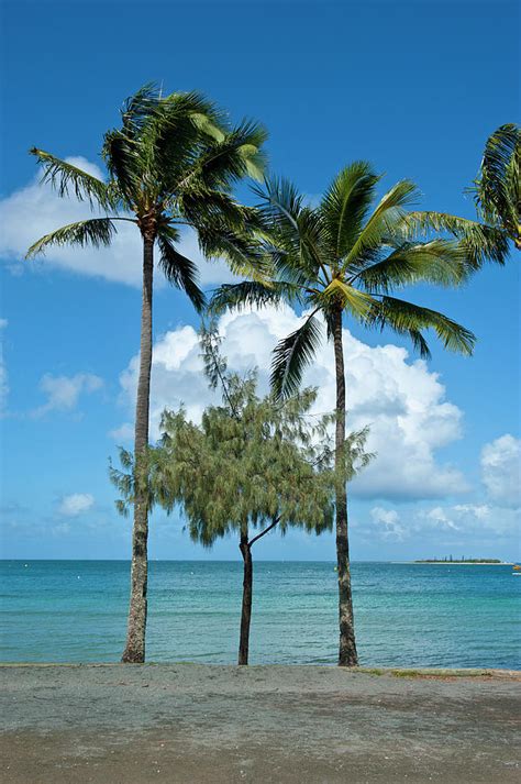 Beach In Noumea, New Caledonia by Michael Runkel / Robertharding