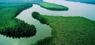 Mali announces €2.2 billion to save Africa’s third-longest river – The North Africa Post