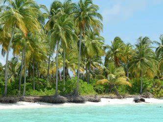 THE BEST Lakshadweep Beaches (Updated 2024) - Tripadvisor