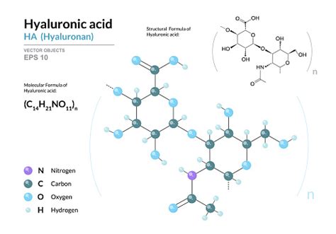 Hyaluronic Acid Ha Hyaluronan Structural Chemical Formula And Molecule 3d Model Atoms With Color ...