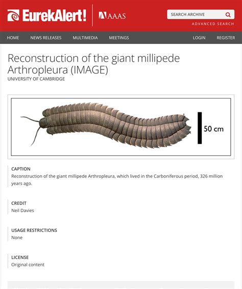 Giant Millipede Prehistoric