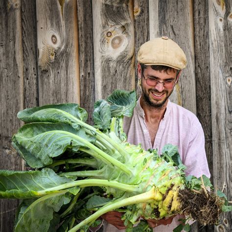 A Passion for Heirloom Vegetable Seeds — Food Garden Life: Edible Garden, Vegetable Garden ...