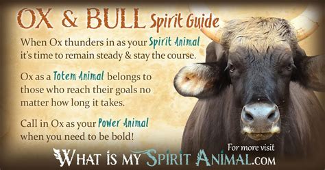 Bull & Ox Symbolism & Meaning | Spirit, Totem & Power Animal | Animal ...