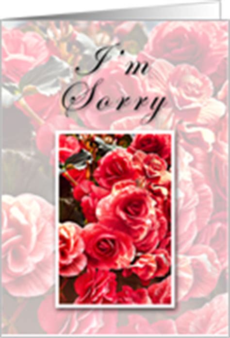 Flowers Apology Cards from Greeting Card Universe