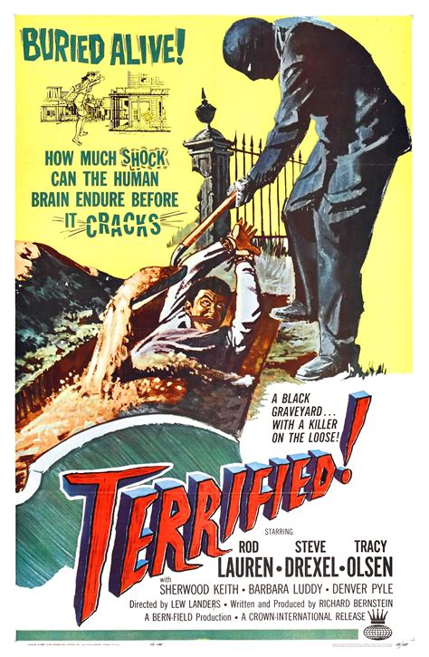 a movie poster for the film terried with an image of a man holding a ...