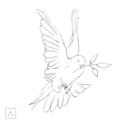 How to Draw a Dove: Simple Bird Drawing | ARTEZA