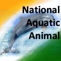 Aquatic: India''s National Aquatic Animal