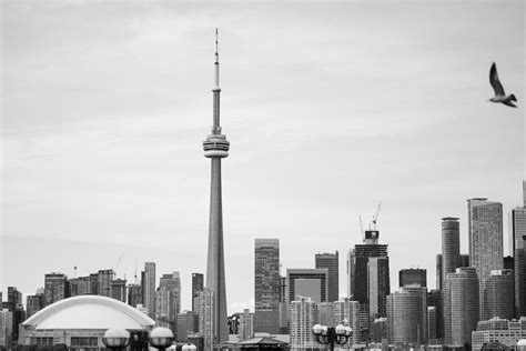 Toronto Skyline · Free Stock Photo