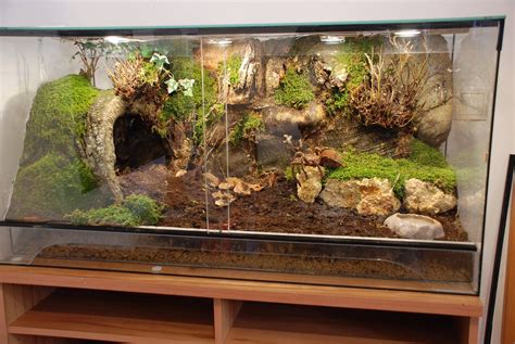 Timeline Photos - Aquarismo Alagoano | Reptile habitat, Gecko terrarium, Reptile terrarium