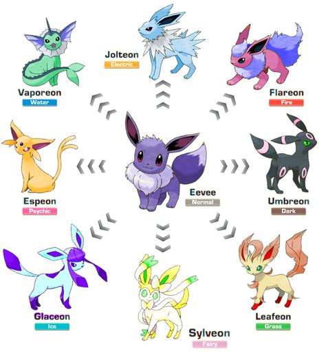 I made new shiny eeveeloutions | Pokemon costumes, Pokemon eevee, Pokemon special