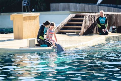 Girl with a Trainer Playing with a Dolphin at Seaworld in Orlando ...