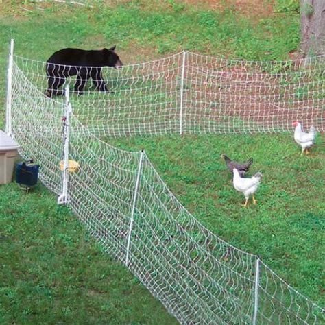 PoultryNet® 12/48/3 Electric Netting | Bird netting, Electric poultry netting, Bird aviary