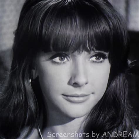 Brenda Scott as 'Carla' 'The Cage' 1964 THE FUGITIVE | Tv series, Star david, Scott