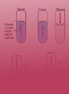 Basic Understanding of Capillarity | Formula, Definition, Diagrams