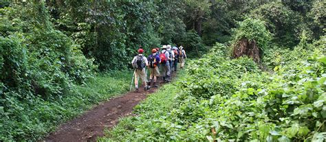 Climate Zones of Mount Kilimanjaro - Climbing Kilimanjaro