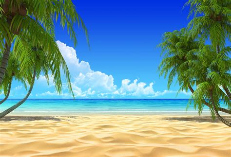 Summer Beach Blue Ocean Sky Backdrop HJ03738 – Dbackdrop