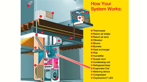 Evaporator Coil Guide: Where is it located, how does it work, and why ...