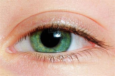 Closeup Of A Green Eye - Stock Photo - Dissolve