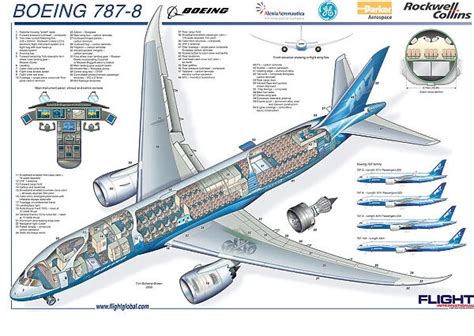 Boeing 787-8 Micro Cutaway Poster, includes aircraft