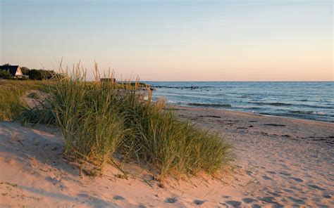 Best Sweden Beaches in Pictures // World Beach Guide