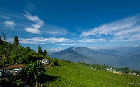 Pelling in Sikkim - Tour & Travel Guide, NJP to Pelling Distance