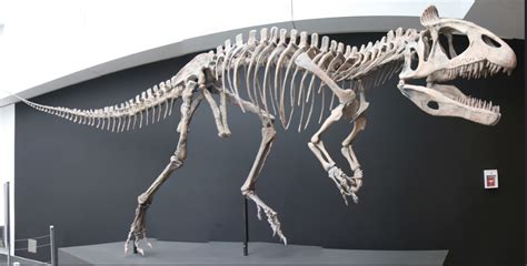 Cryolophosaurus | Paleontology World