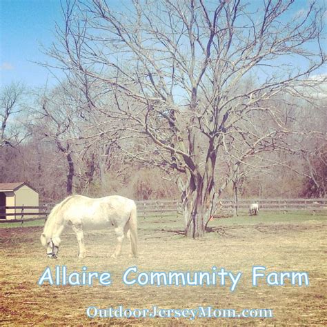 Allaire Community Farm, Wall, NJ | horses | OutdoorJerseyMom.com | Farm ...