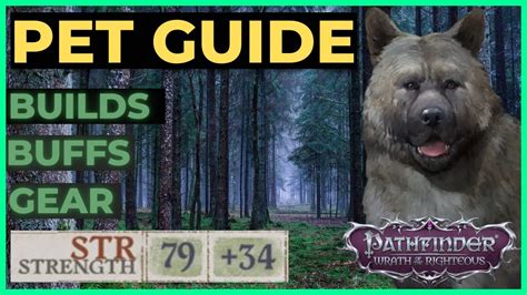 PATHFINDER: WOTR - Ultimate PET Guide: Builds, Buffs&Gear! Unfair viable - YouTube