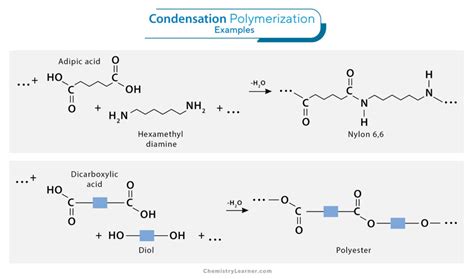 Polymerization: Definition, Types, and Examples