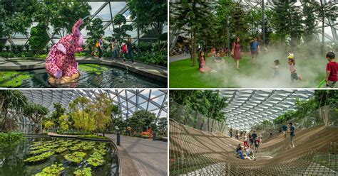 S$4.50 to enter Canopy Park at Jewel Changi Airport from June 10, 4 free attractions & 5 ...