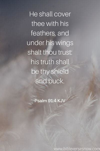 Bible verses about wings – Bible Verses of the day