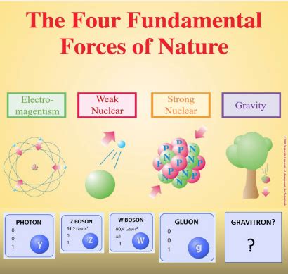 CuriouSTEM - The Four Fundamental Forces