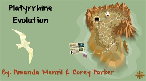 Platyrrhine Evolution by Amanda Menzil on Prezi