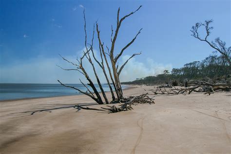 Boneyard Beach Big Talbot Island Fl. 2.18-2-42-2 | ejb123402 | Flickr