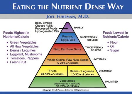 The Healthy Ph.D: Fat, Sick, and Nearly Dead (a review)