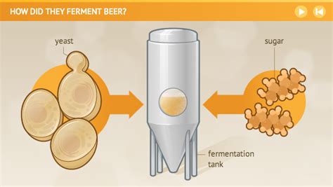 How did they ferment beer?