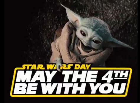 Star Wars Day Memes, May The 4th Memes And Funny Pics | Star wars day ...