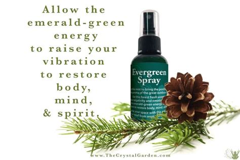 Evergreen Spray - Get the scent of the holidays all year round