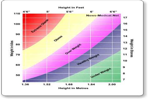 What is Body Mass Index (BMI)? - NUTRITION LINE