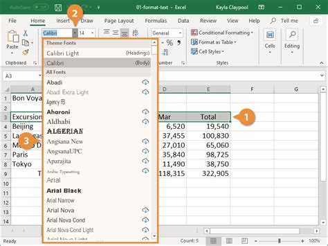 How to Format Text in Excel | CustomGuide