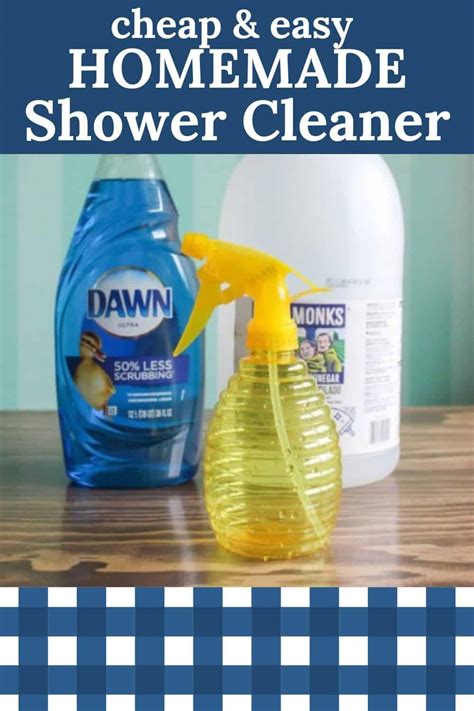 DIY Shower Cleaner - Back Road Bloom