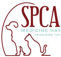 About SPCA – Medicine Hat SPCA