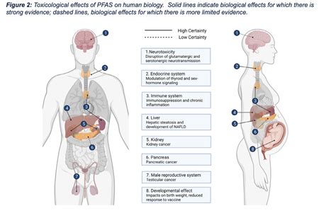 PFAS: The "New" Forever Chemicals