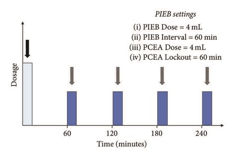 Pump settings in the (a) programmed intermittent epidural bolus (PIEB ...