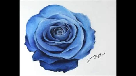 TIMELAPSE: Drawing a blue Rose - YouTube