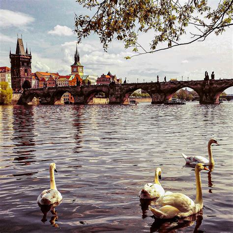 7 Prague River Cruise Options For Every Traveller - Dream Plan Experience