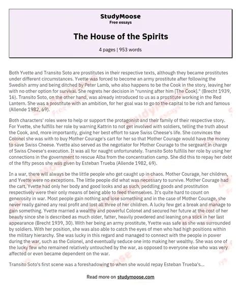 The House of the Spirits Free Essay Example