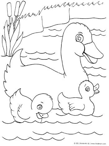 Duck with Ducklings Coloring Page — KinderArt